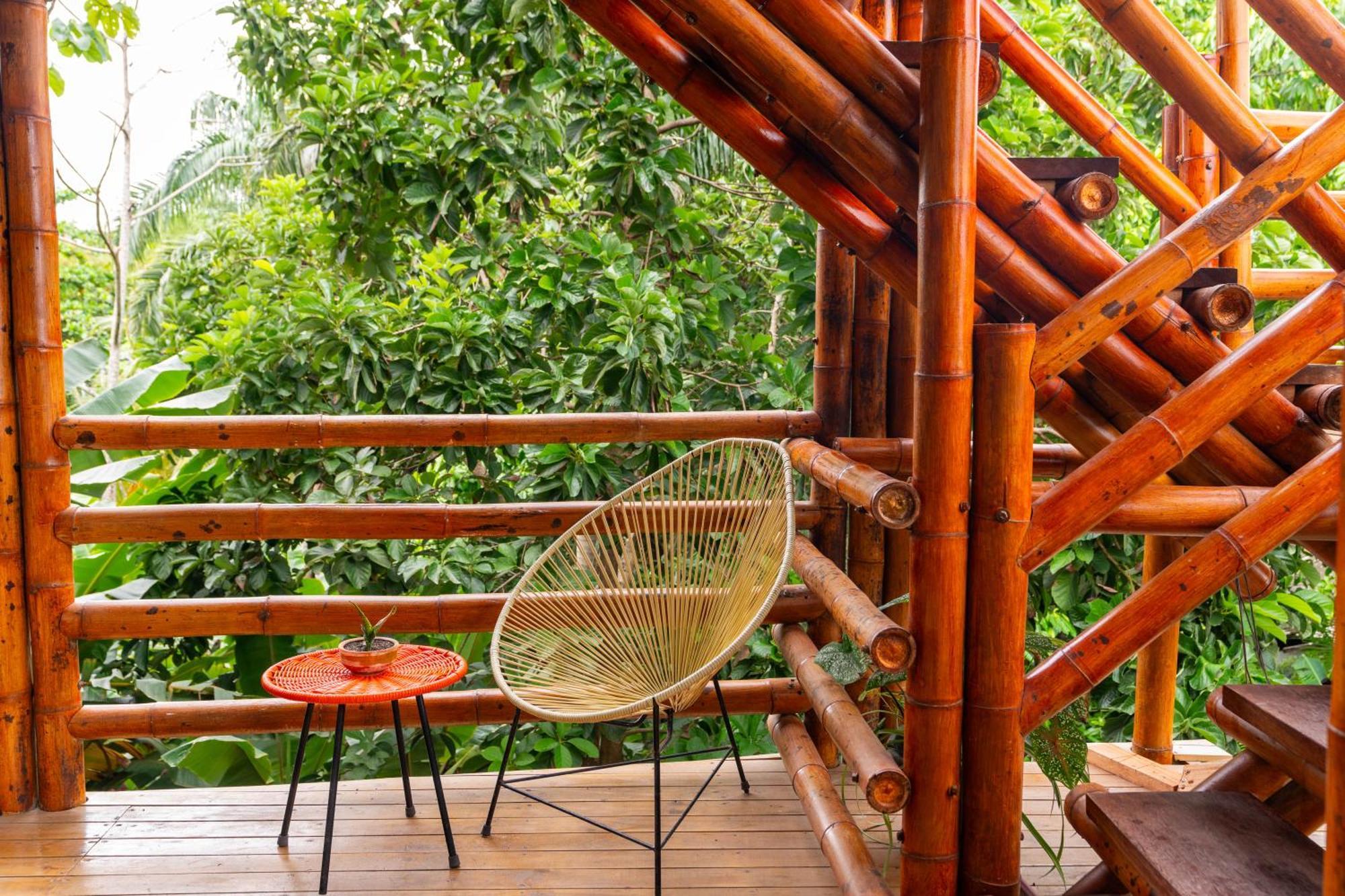 Tayrona Juanchos House Hostel Los Naranjos Bagian luar foto